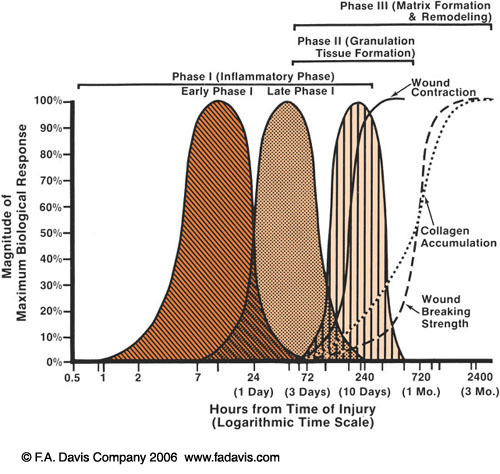 F-11-01 tissue healing.jpg